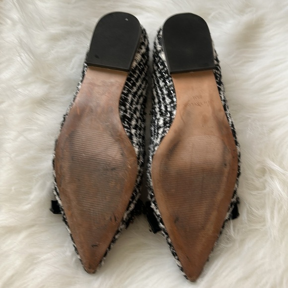 Tweed Flats - Picture 6 of 6